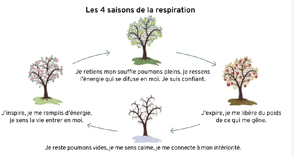 You are currently viewing Les 4 saisons de la respiration